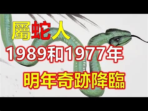 1989 屬|【1989 屬】1989屬蛇終極指南：壽命揭秘、最佳配對、轉運秘訣。